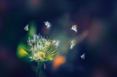 ​趣知识：请问井岗山在哪个省江西井冈山有几个县