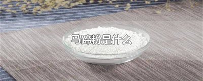 ​马蹄粉是什么颜色的 马蹄粉是什么淀粉