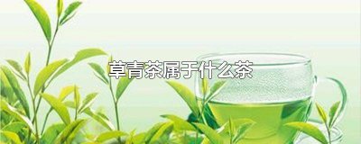 ​草青茶是哪里的产地 草青茶叶有哪些品牌大全