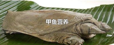 ​甲鱼营养价值表 甲鱼营养吗