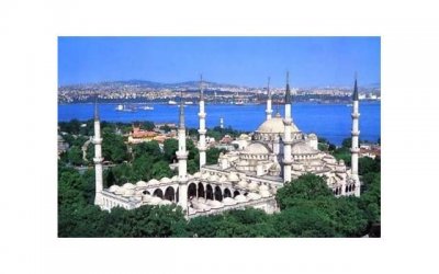 ​绿色的性格容易成功吗