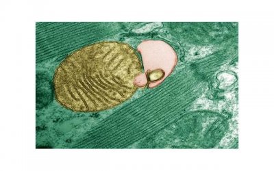 ​了解【天蝎座11月6日】生人的优缺点，让你更好地认识自己！