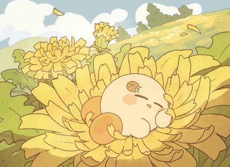 补阳气的最佳食物：探索快速补充阳气的食品