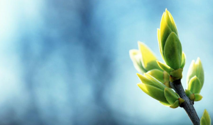 为什么天秤座最特殊（一文了解天秤座的3个特殊能力）