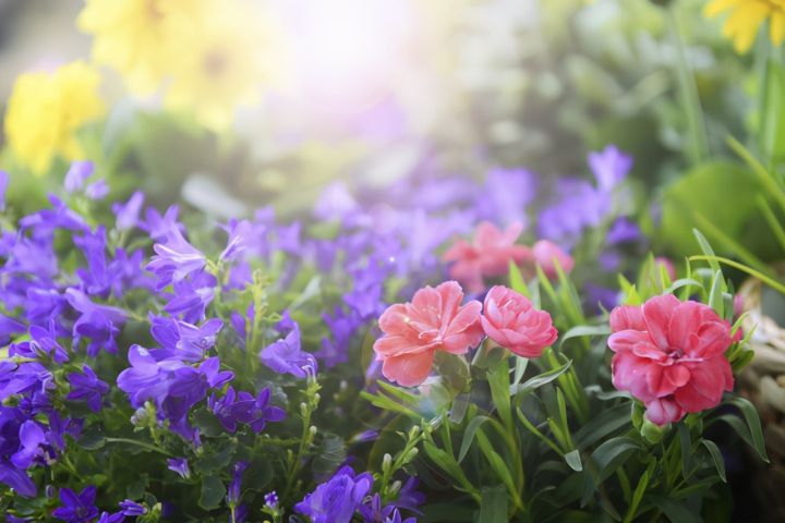 为什么天秤座最特殊（一文了解天秤座的3个特殊能力）