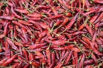 辣椒里面有飞蛾还能吃吗